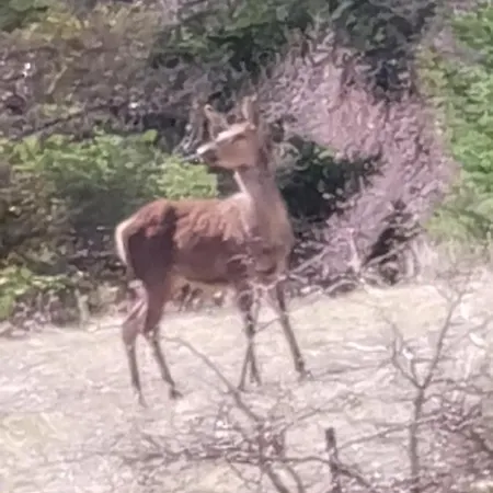 Pied Des Pistes Super Sauze * Enchastrayes